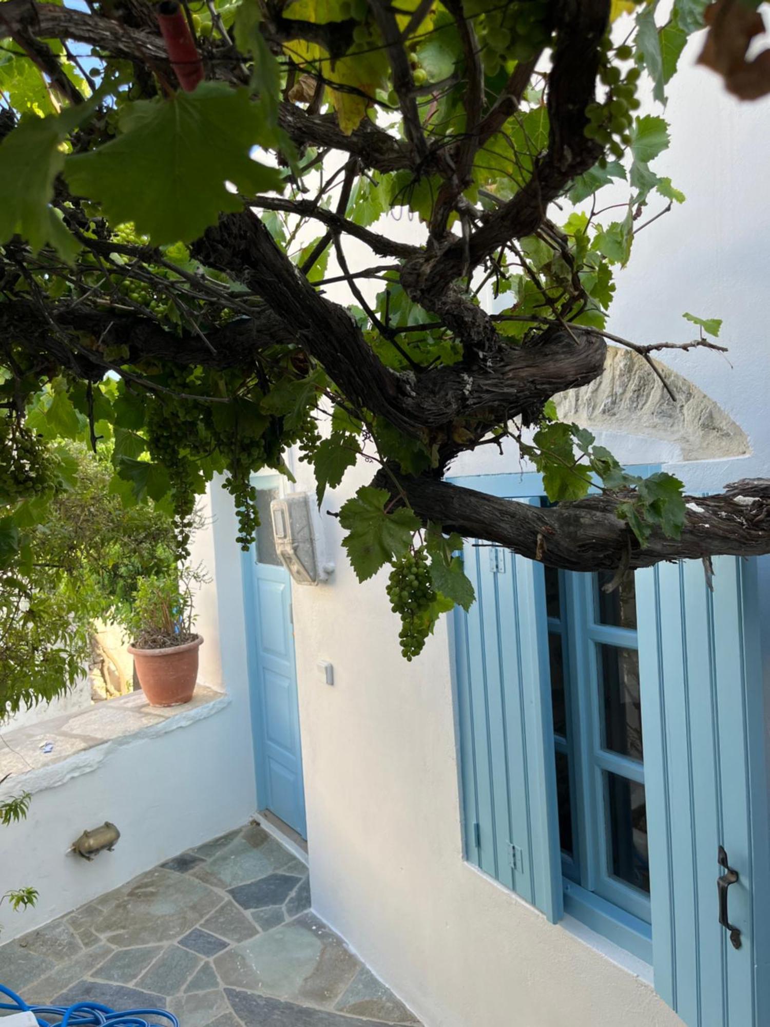 Dream House Little Villa - Amorgos Extérieur photo